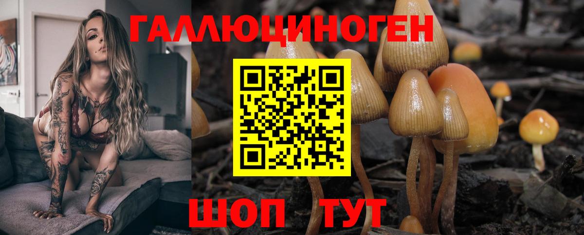 Кировск  даркнет сайт  Вход с VPN  Псилоцибиновые грибы Psilocybine cubensis 